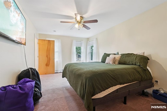 4 Lenape Trl, Wayne, NJ 07470 - bedroom featuring carpet floors and a ceiling fan