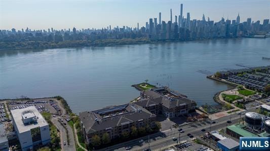 7400 River Rd Unit 120, North Bergen, NJ 07047 - water view with city skyline