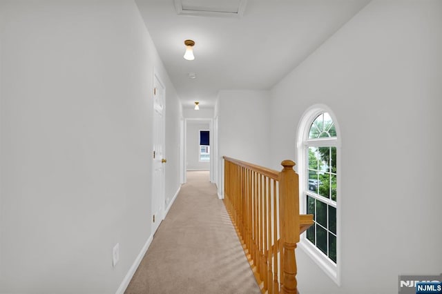 231 Swathmore Dr, Nutley, NJ 07110 - hall featuring an upstairs landing, carpet flooring, and attic access