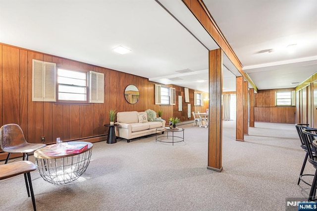 24 Eton Ct, Wayne, NJ 07470 - carpeted living area featuring wooden walls