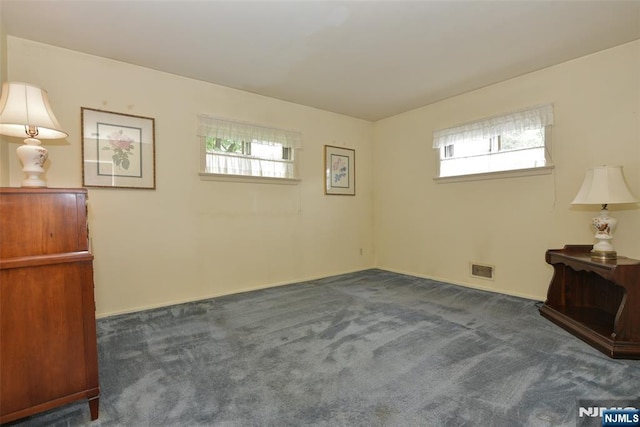 29 Lotus Ln, Waldwick, NJ 07463 - unfurnished bedroom with multiple windows and carpet flooring