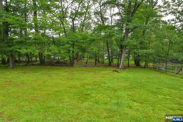 29 Lotus Ln, Waldwick, NJ 07463 - view of yard