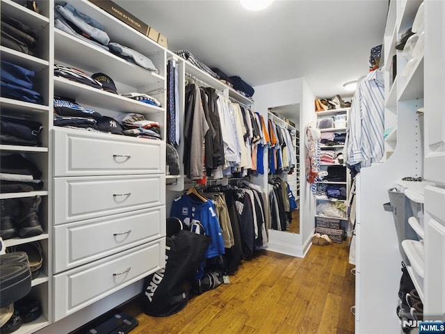 36 First, Hawthorne, NJ 07506 - spacious closet with light wood-style flooring