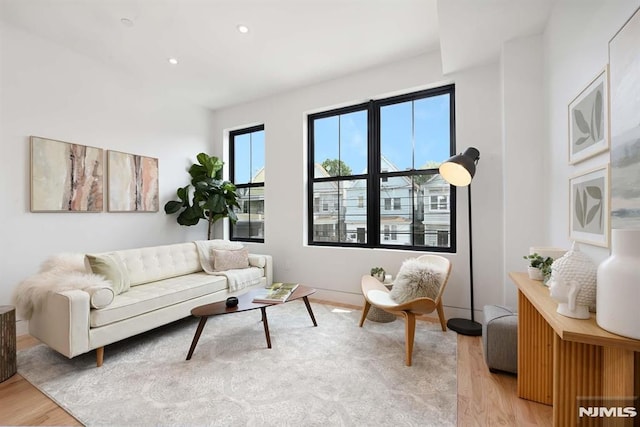 29 Armstrong Ave Unit 3, Jersey City, NJ 07305 - living room featuring wood finished floors and recessed lighting