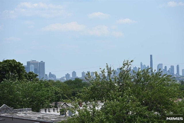 29 Armstrong Ave Unit 3, Jersey City, NJ 07305 - view of city skyline