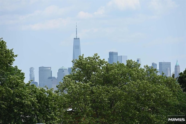 29 Armstrong Ave Unit 3, Jersey City, NJ 07305 - skyline view