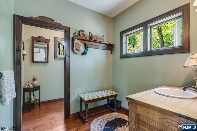 19 Division Ln, Byram, NJ 07821 - bathroom with wood finished floors and vanity
