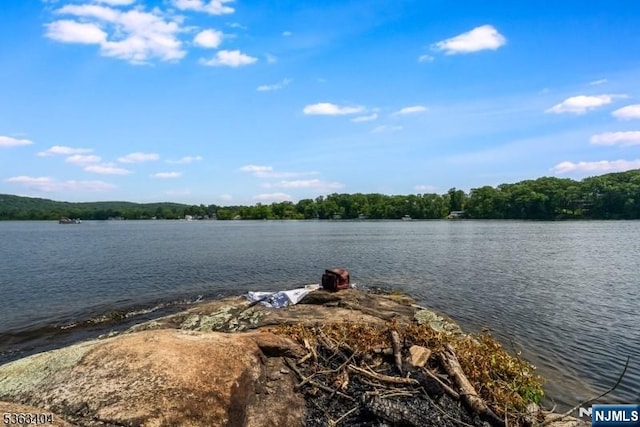 19 Division Ln, Byram, NJ 07821 - water view with a forest