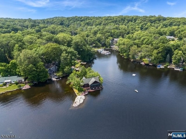 19 Division Ln, Byram, NJ 07821 - aerial view of a heavily wooded area and a large body of water