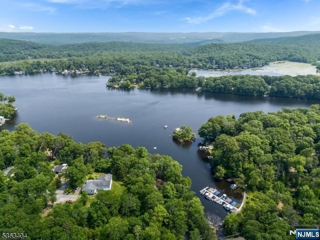 19 Division Ln, Byram, NJ 07821 - bird's eye view of a forest and a large body of water