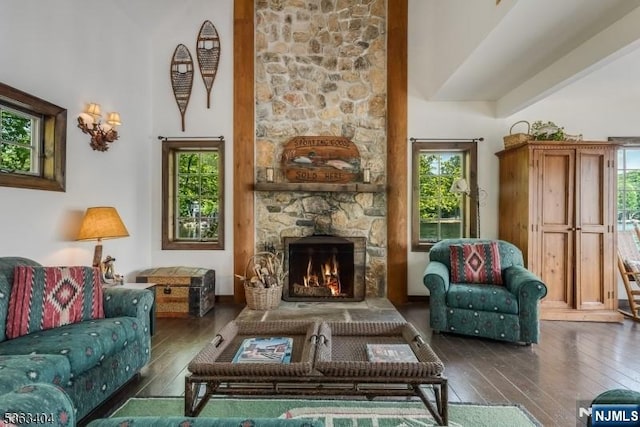 19 Division Ln, Byram, NJ 07821 - living area featuring hardwood / wood-style floors, healthy amount of natural light, and a fireplace