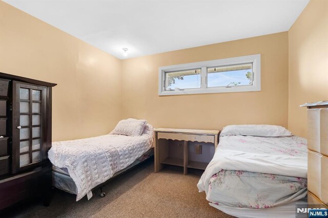 8 Hampton Rd, Clifton, NJ 07012 - bedroom with carpet floors