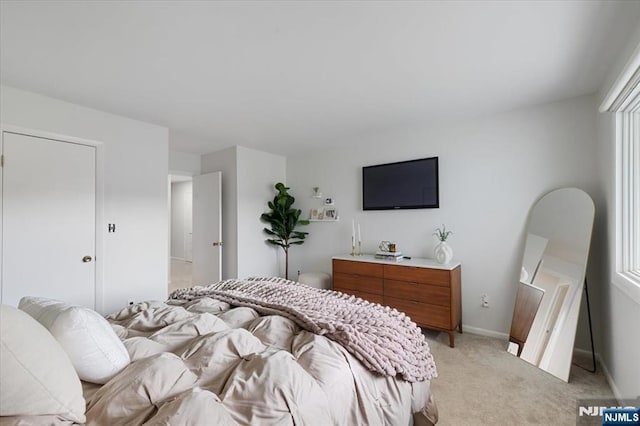206 Wind Hollow Ct, Mahwah, NJ 07430 - bedroom featuring light carpet