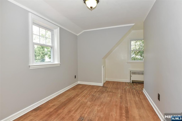 36 Grove St, Waldwick, NJ 07463 - additional living space with radiator, plenty of natural light, light wood-type flooring, and vaulted ceiling