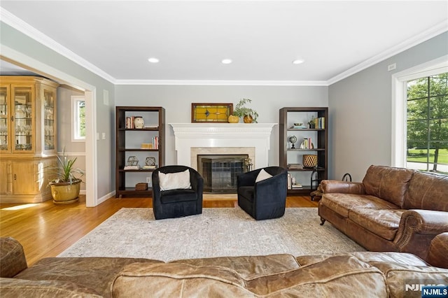 17 Windham Pl, Glen Rock, NJ 07452 - living area with wood finished floors, healthy amount of natural light, a premium fireplace, crown molding, and recessed lighting