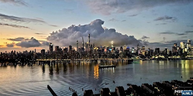 6600 Jfk Blvd E Unit 23L, West New York, NJ 07093 - water view featuring skyline