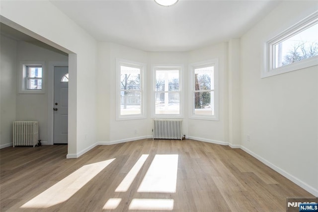 419 Central Ave, Haledon, NJ 07508 - unfurnished room with radiator, healthy amount of natural light, and light wood-style flooring