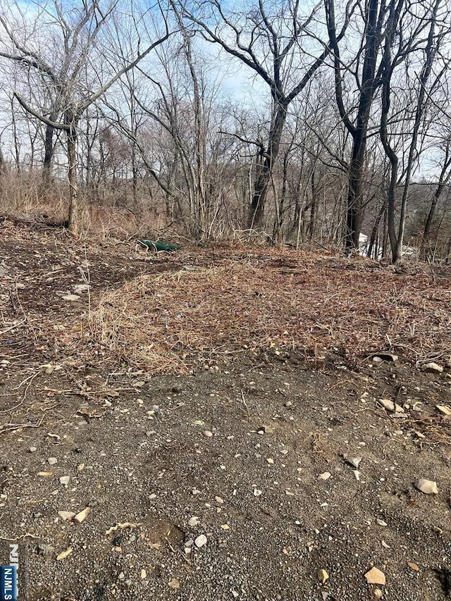 419 Central Ave, Haledon, NJ 07508 - view of nature