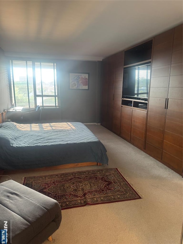 4 Horizon Rd Unit 1006, Fort Lee, NJ 07024 - bedroom with multiple windows and carpet flooring