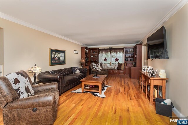 15 Franeks Rd, Hamburg, NJ 07419 - living area with light wood-style floors and ornamental molding