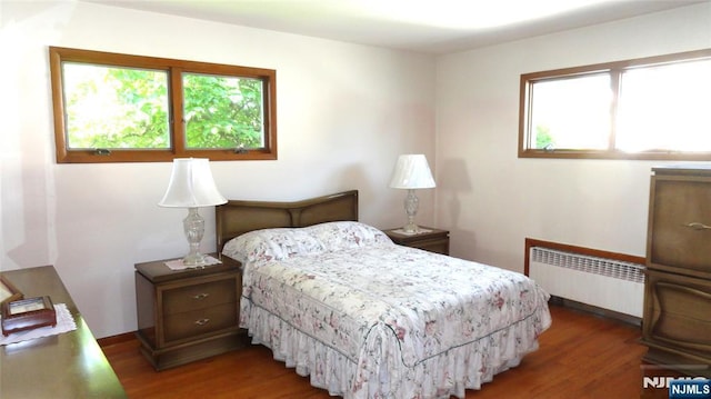 17 Gunther Ave, Lodi, NJ 07644 - bedroom featuring radiator heating unit, wood finished floors, and multiple windows