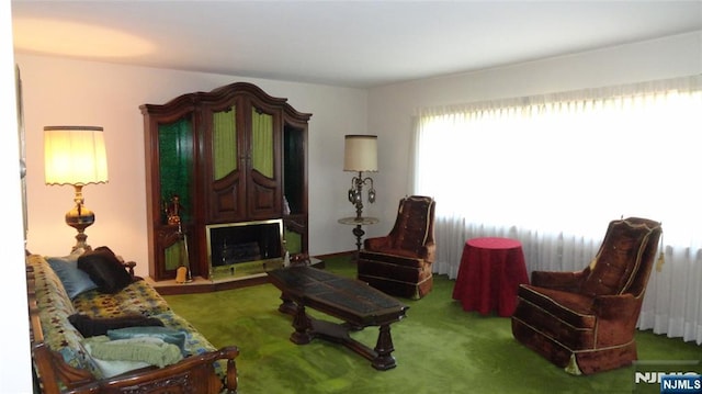 17 Gunther Ave, Lodi, NJ 07644 - living room featuring carpet flooring and a fireplace