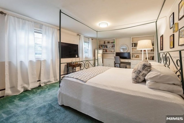 117 Morton Dr, Ramsey, NJ 07446 - carpeted bedroom with multiple windows
