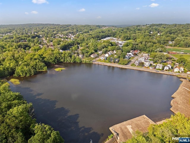 26 Lake, North Haledon, NJ 07508 - bird's eye view of a nearby body of water