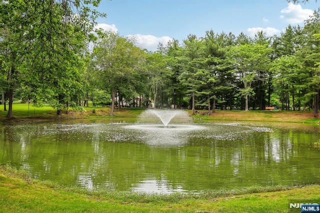 7 Eakens Ct, Mahwah, NJ 07430 - water view