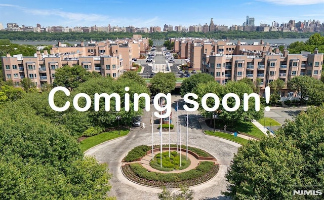 207 Jefferson Ct, Edgewater, NJ 07020 - bird's eye view of skyline