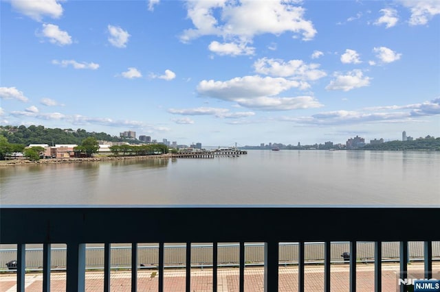 207 Jefferson Ct, Edgewater, NJ 07020 - water view featuring city skyline