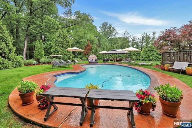 11 Katharina Pl, Twp Of Washington, NJ 07676 - view of pool with a gazebo and a yard