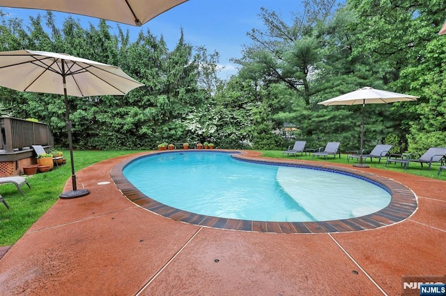11 Katharina Pl, Twp Of Washington, NJ 07676 - swimming pool featuring view of scattered trees, a patio, and a yard