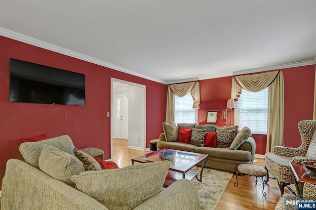 11 Katharina Pl, Twp Of Washington, NJ 07676 - living room with crown molding and wood finished floors