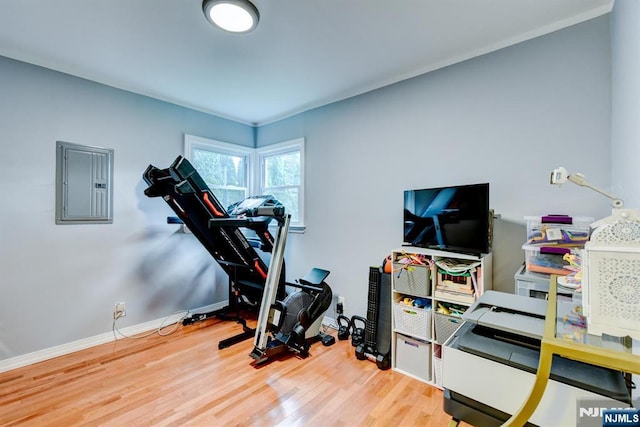 139 Donato Dr, Little Falls, NJ 07424 - exercise area with electric panel and wood finished floors