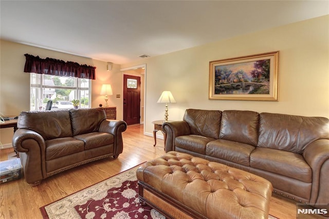 306 Boulevard, Pequannock Township, NJ 07444 - living room featuring light wood-style flooring and baseboards