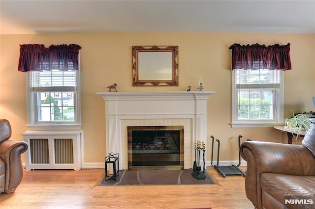 306 Boulevard, Pequannock Township, NJ 07444 - living room featuring radiator heating unit, wood finished floors, and a brick fireplace