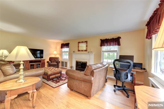 306 Boulevard, Pequannock Township, NJ 07444 - living room with light wood-type flooring, a glass covered fireplace, and an office area