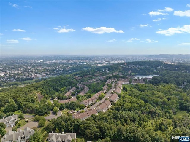 66 Spruce Ln, North Haledon, NJ 07508 - aerial view of a forest and a nearby body of water