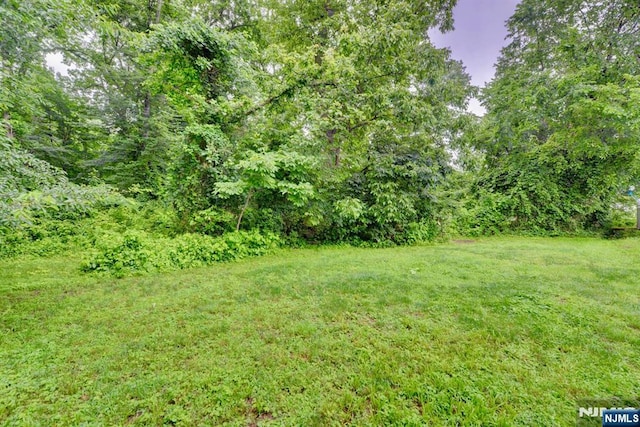 76 Central Ln, Secaucus, NJ 07094 - view of grassy yard with a forest view