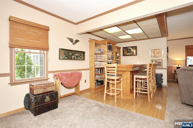 279 Rock Ave, Park Ridge, NJ 07656 - indoor dry bar featuring ornamental molding, wood finished floors, and carpet flooring