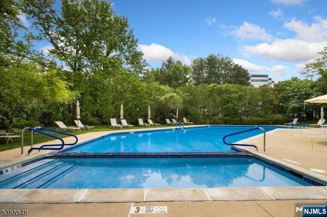 4 Lowell Ct Unit 704, Teaneck, NJ 07666 - community pool with a patio and view of wooded area