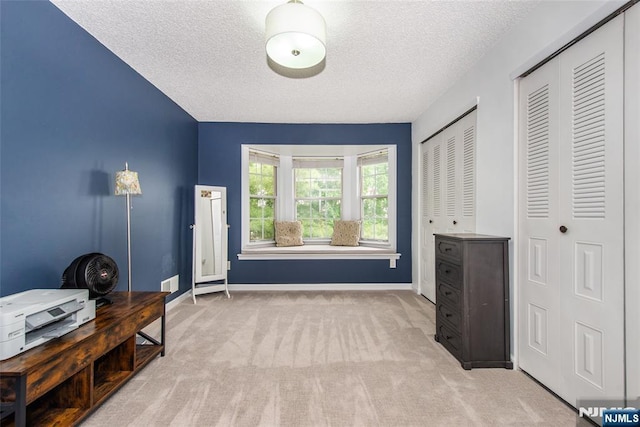 462 Poets Way, Mahwah, NJ 07430 - bedroom featuring carpet, a textured ceiling, and multiple closets