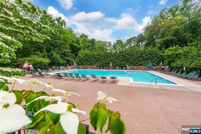 462 Poets Way, Mahwah, NJ 07430 - community pool with a patio area and view of scattered trees