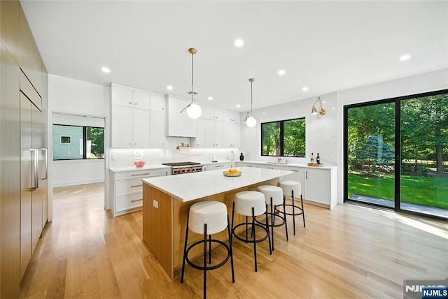 30 Benjamin Rd, Tenafly, NJ 07670 - kitchen featuring a large island, light wood-style floors, plenty of natural light, light countertops, and recessed lighting