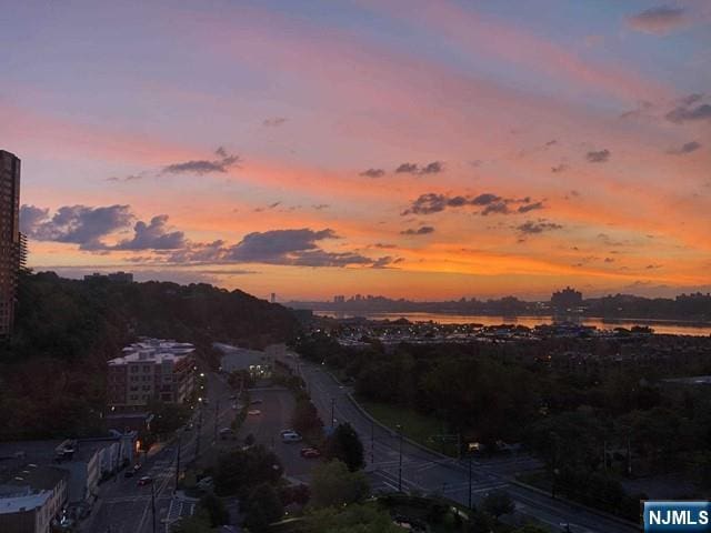 1611 Hudson Park Unit 1611, Edgewater, NJ 07020 - view of road featuring a city view