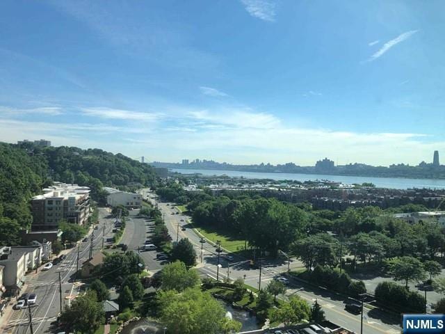 1611 Hudson Park Unit 1611, Edgewater, NJ 07020 - view of urban area with a large body of water