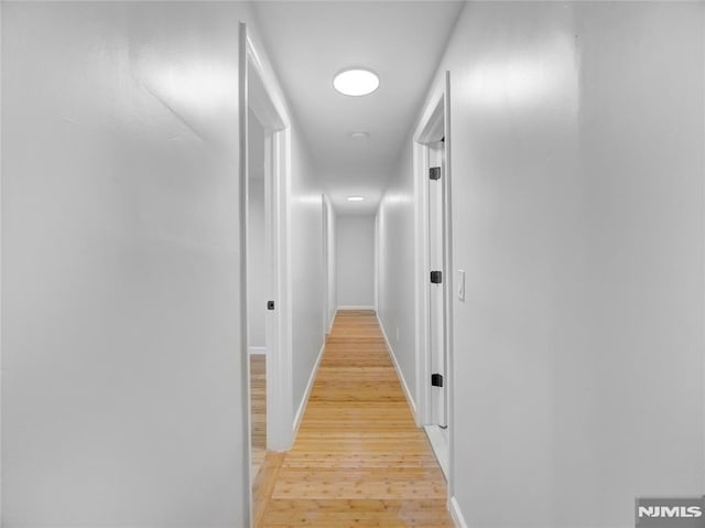 112-122 Halsted, Newark, NJ 07106 - corridor with light wood-style floors and baseboards