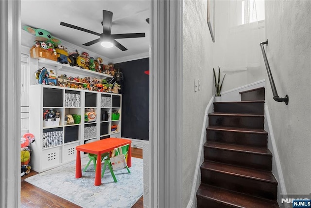 19 Mckinley Ave, West Orange, NJ 07052 - stairway with ceiling fan, wood finished floors, a textured wall, and crown molding