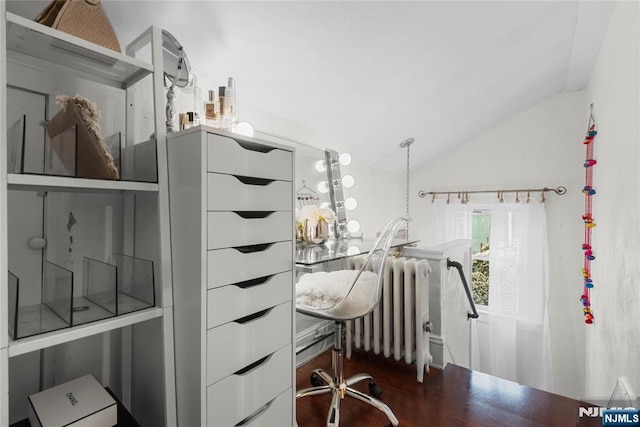 19 Mckinley Ave, West Orange, NJ 07052 - walk in closet with radiator and lofted ceiling